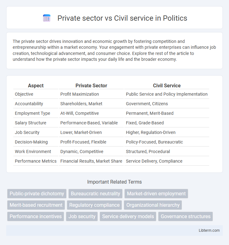 Civil service vs Private sector in Politics - What is The Difference?