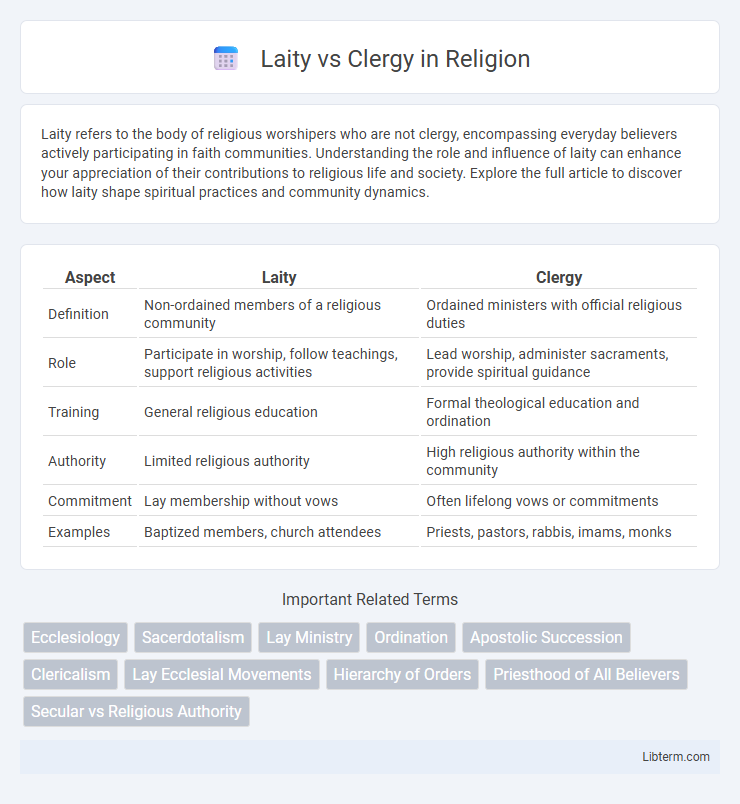 Clergy vs Laity in Religion - What is The Difference?