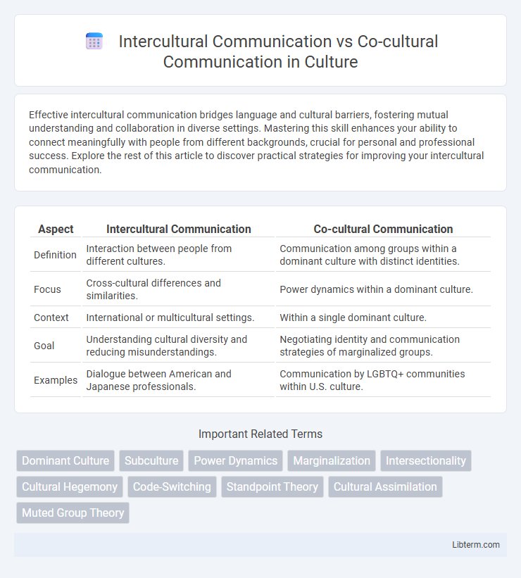 Co-cultural Communication vs Intercultural Communication in Culture - What is The Difference?