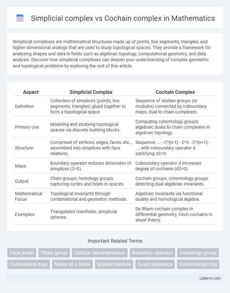 Cochain complex vs Simplicial complex in Mathematics - What is The Difference?