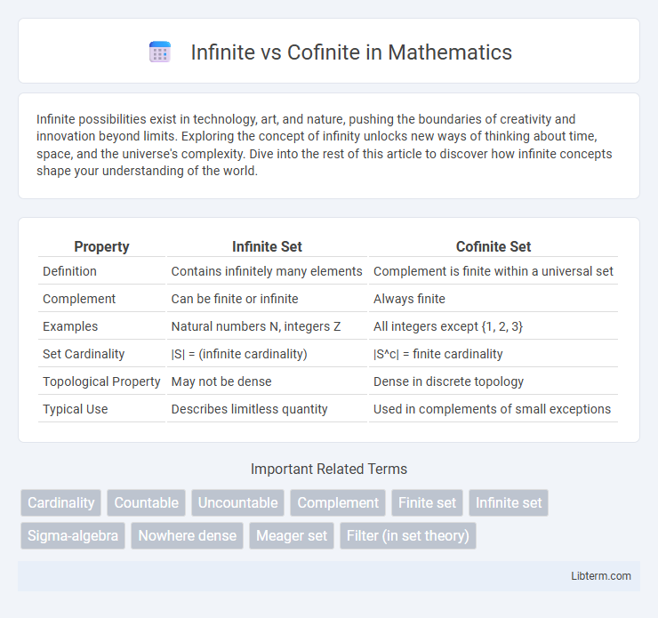 Cofinite vs Infinite in Mathematics - What is The Difference?