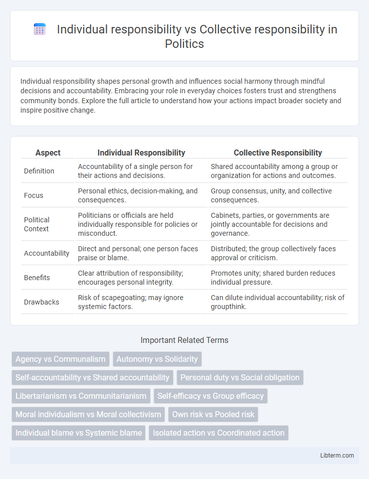 Collective responsibility vs Individual responsibility in Politics - What is The Difference?