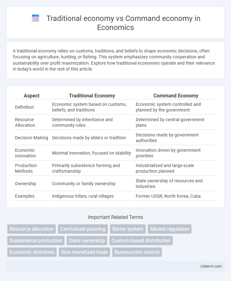 Command economy vs Traditional economy in Economics - What is The Difference?