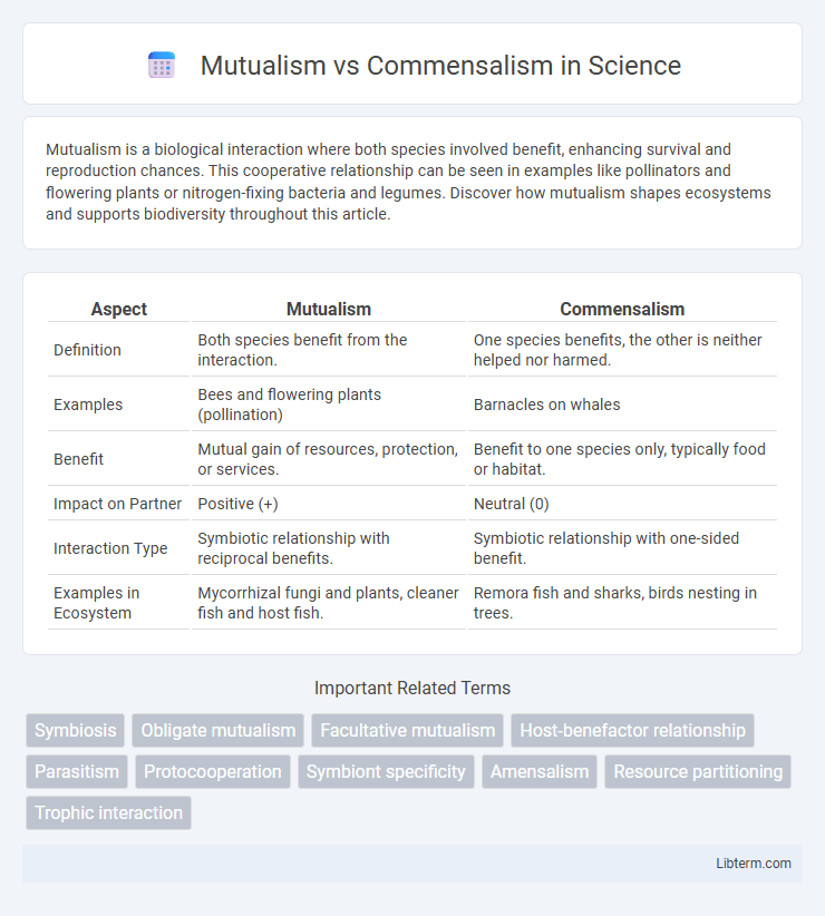 Commensalism vs Mutualism in Science - What is The Difference?