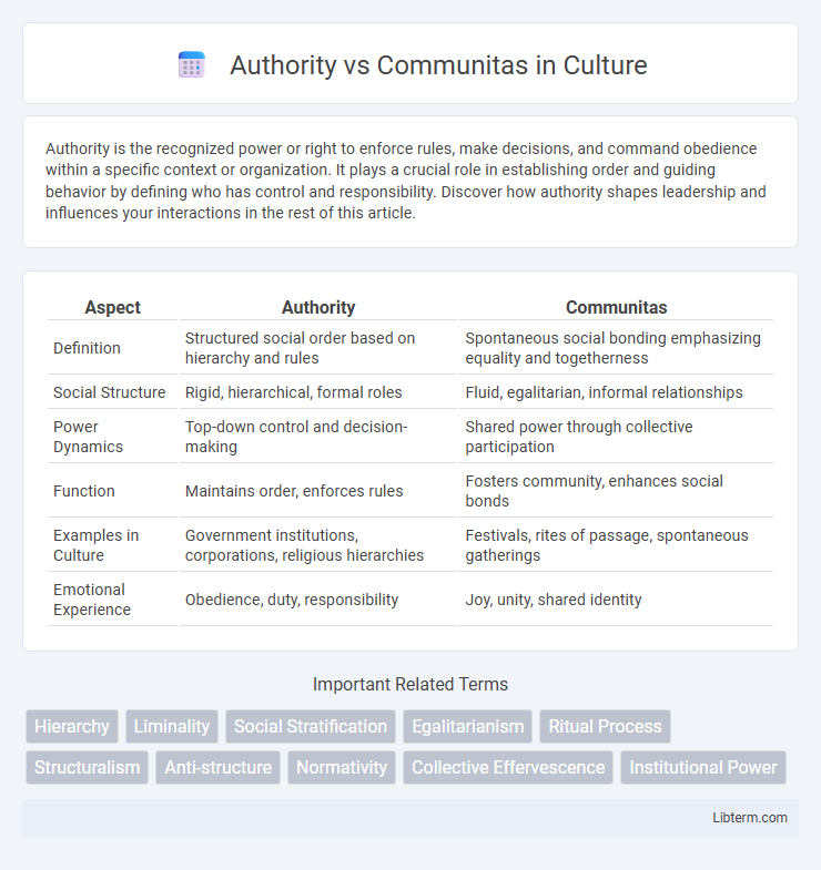 Communitas vs Authority in Culture - What is The Difference?