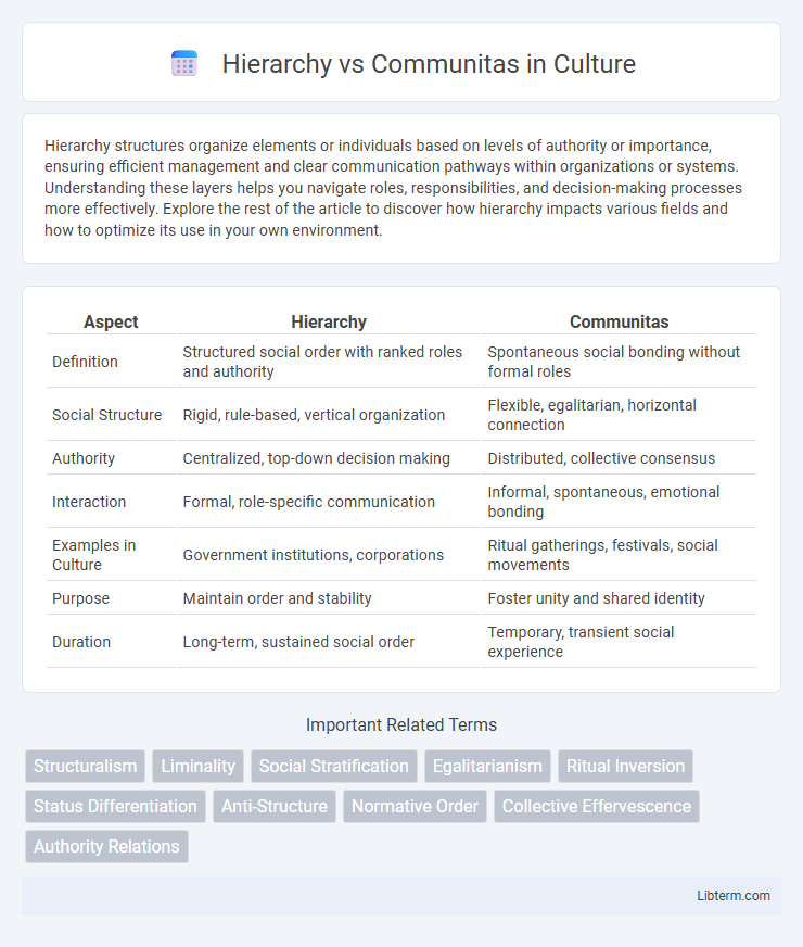 Communitas vs Hierarchy in Culture - What is The Difference?
