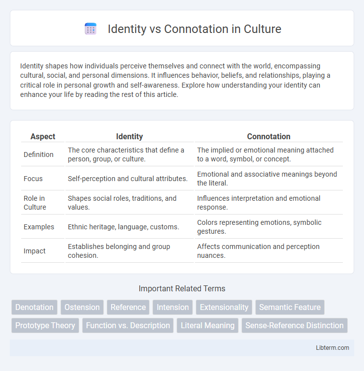 Connotation vs Identity in Culture - What is The Difference?
