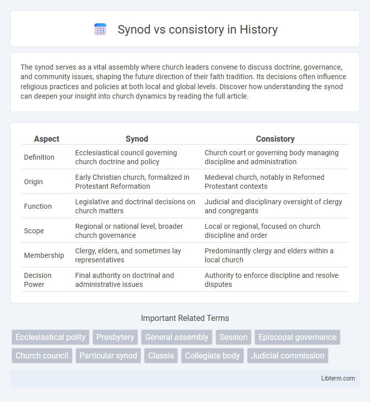 consistory vs Synod in History - What is The Difference?