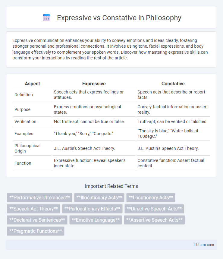Constative vs Expressive in Philosophy - What is The Difference?