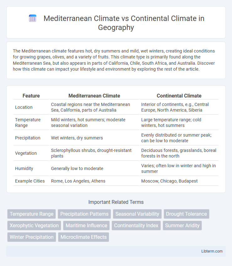 Continental Climate vs Mediterranean Climate in Geography - What is The Difference?