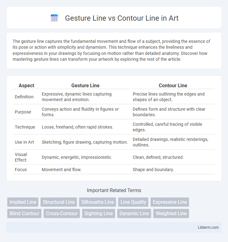 Contour Line vs Gesture Line in Art - What is The Difference?