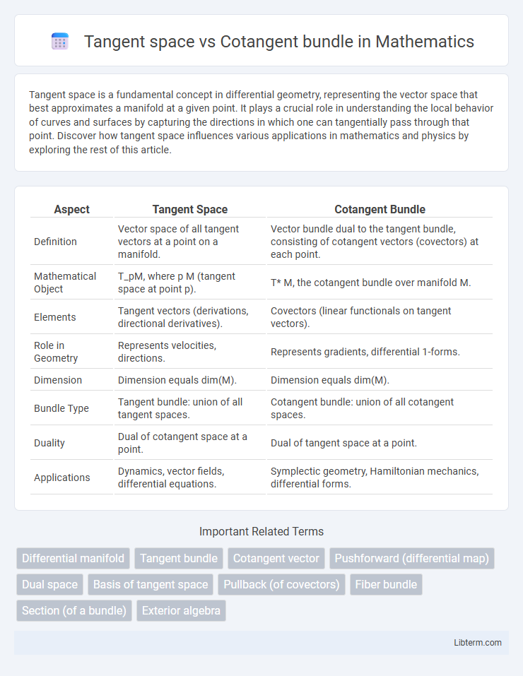Cotangent bundle vs Tangent space in Mathematics - What is The Difference?