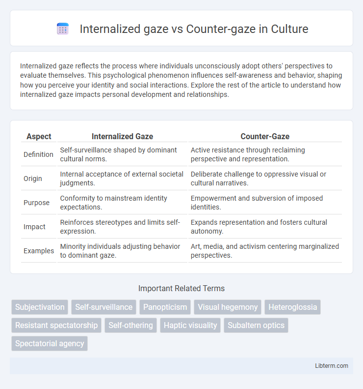 Counter-gaze vs Internalized gaze in Culture - What is The Difference?