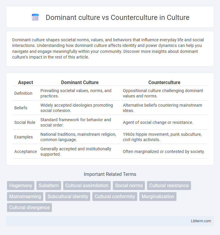 Counterculture vs Dominant culture in Culture - What is The Difference?