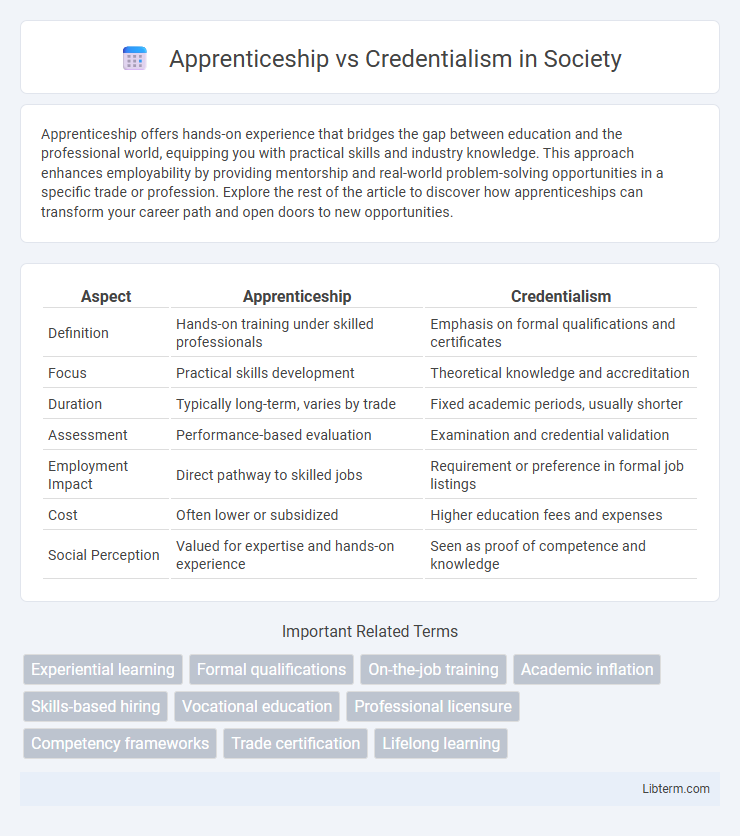 Credentialism vs Apprenticeship in Society - What is The Difference?
