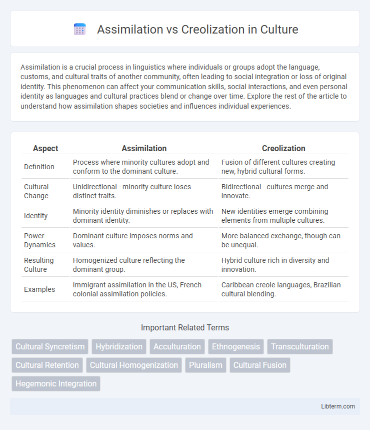 Creolization vs Assimilation in Culture - What is The Difference?