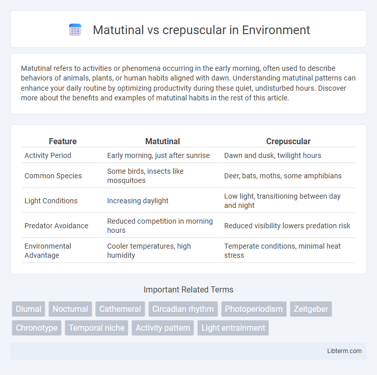 crepuscular vs Matutinal in Environment - What is The Difference?