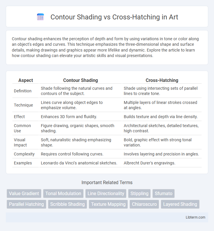 Cross-Hatching vs Contour Shading in Art - What is The Difference?
