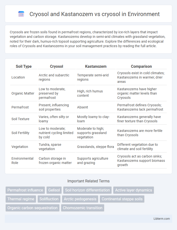 cryosol vs Cryosol and Kastanozem in Environment - What is The Difference?