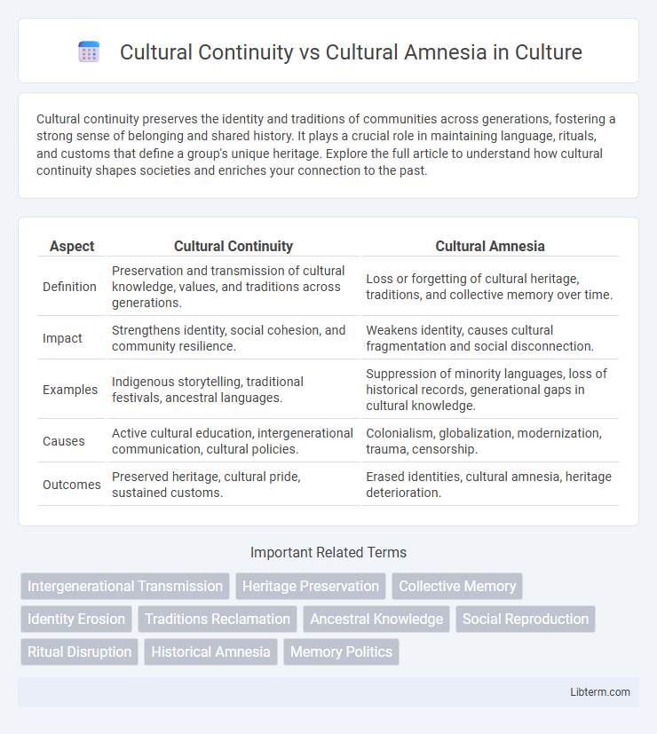 Cultural Amnesia vs Cultural Continuity in Culture - What is The Difference?