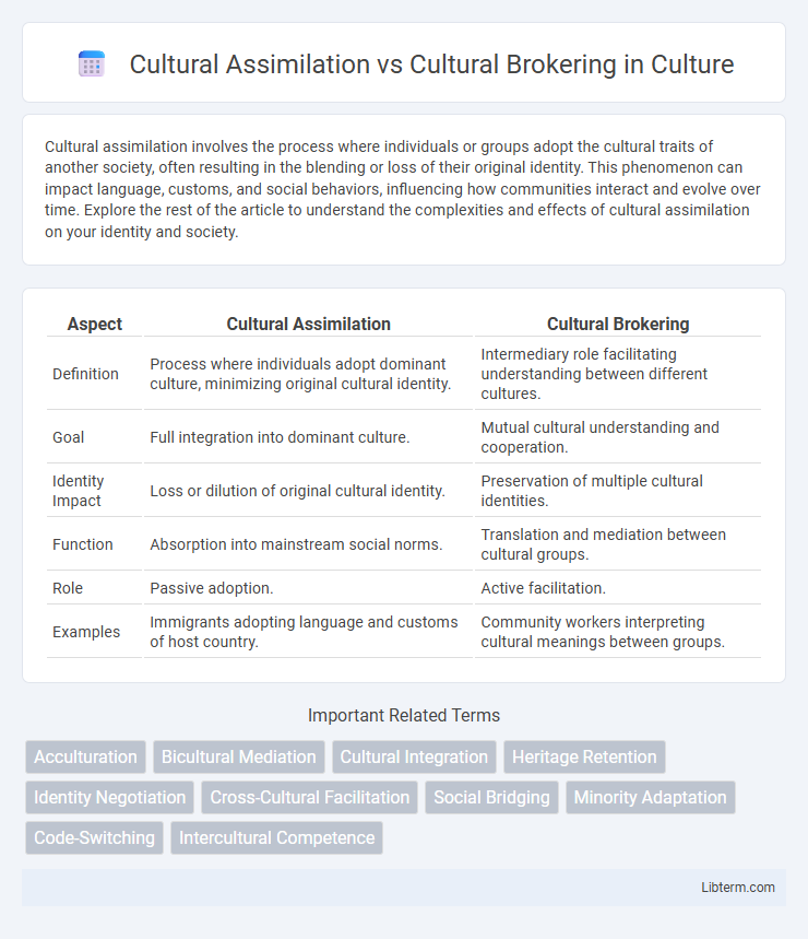 Cultural Brokering vs Cultural Assimilation in Culture - What is The Difference?