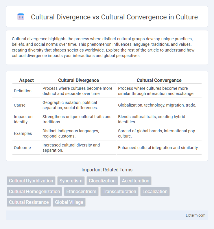 Cultural Convergence vs Cultural Divergence in Culture - What is The Difference?
