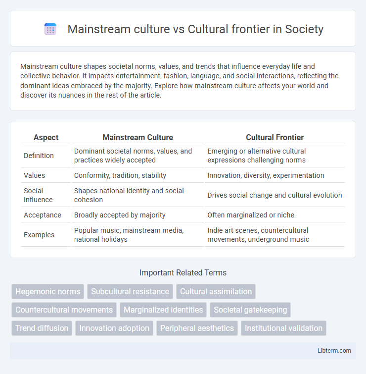 Cultural frontier vs Mainstream culture in Society - What is The Difference?