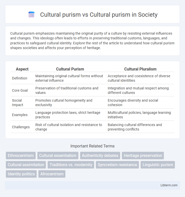 Cultural purism vs Cultural purism in Society - What is The Difference?