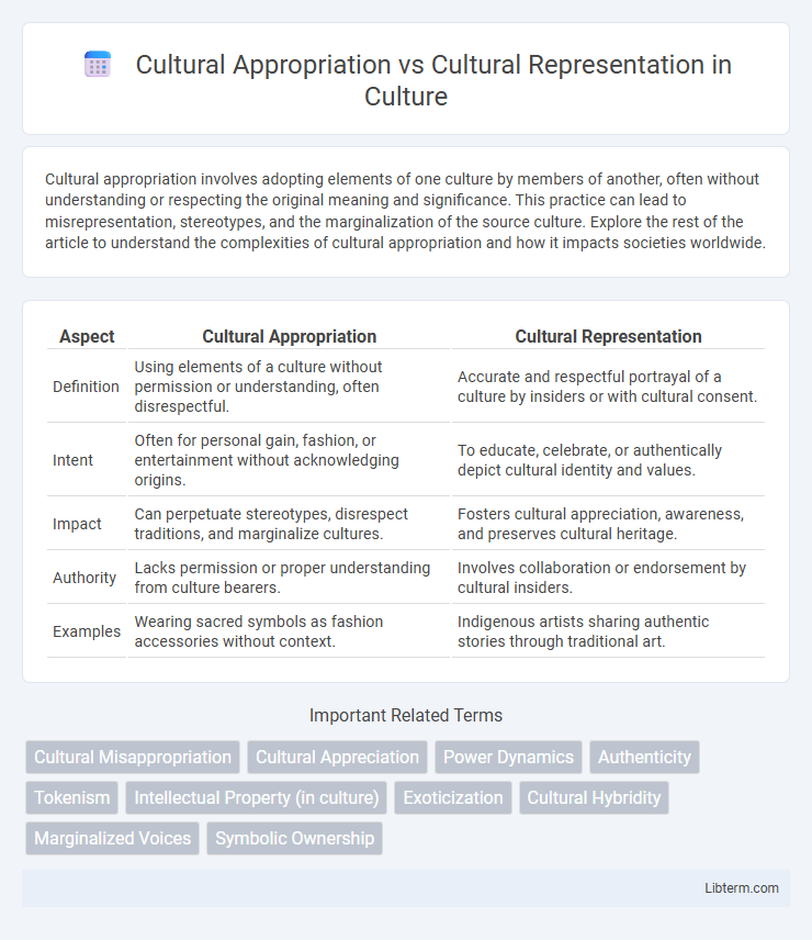Cultural Representation vs Cultural Appropriation in Culture - What is The Difference?