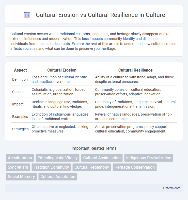 Cultural Resilience vs Cultural Erosion in Culture - What is The Difference?