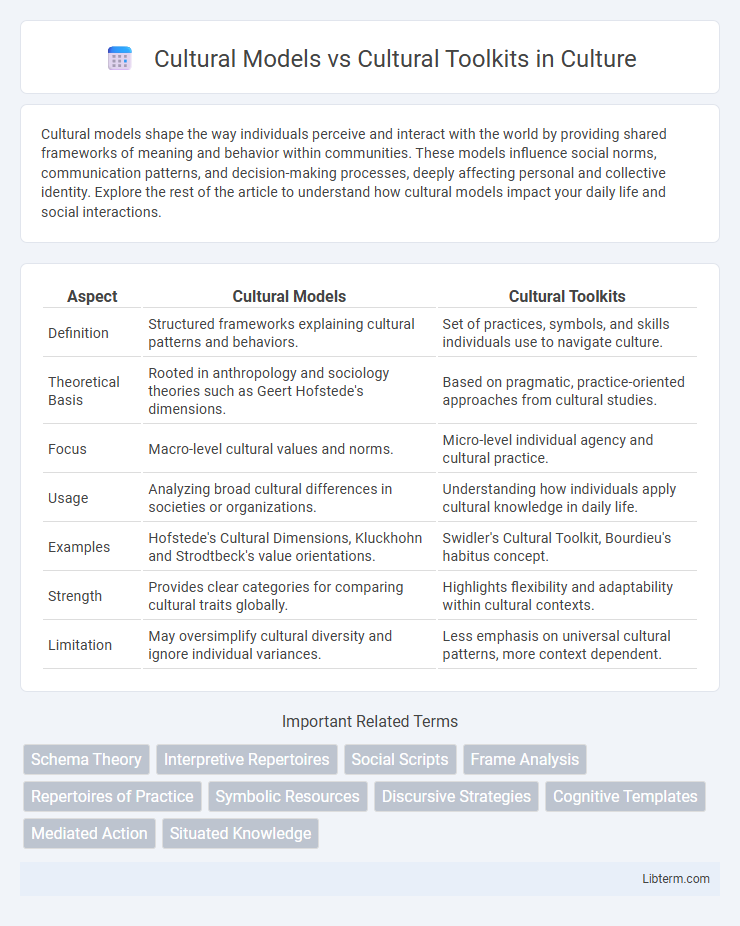 Cultural Toolkits vs Cultural Models in Culture - What is The Difference?