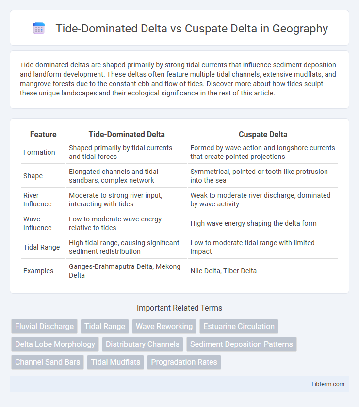 Cuspate Delta vs Tide-Dominated Delta in Geography - What is The Difference?