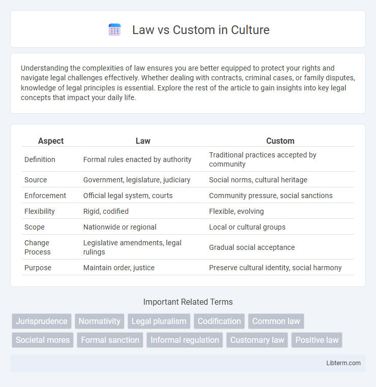Custom vs Law in Culture - What is The Difference?