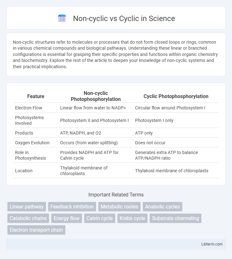 Cyclic vs Non-cyclic in Science - What is The Difference?