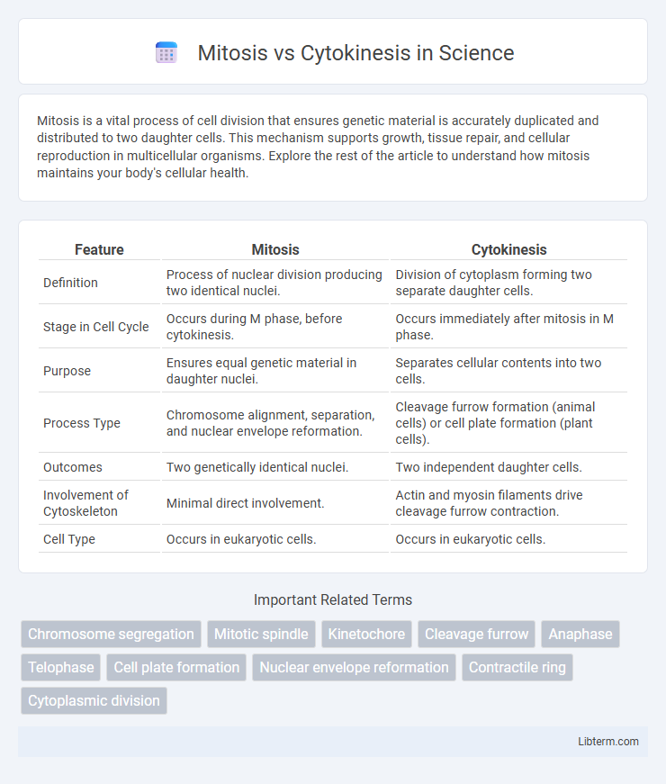 Cytokinesis vs Mitosis in Science - What is The Difference?