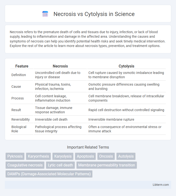 Cytolysis vs Necrosis in Science - What is The Difference?