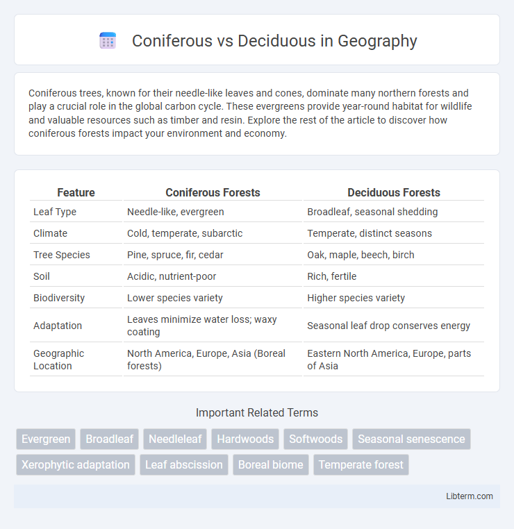 Deciduous vs Coniferous in Geography - What is The Difference?