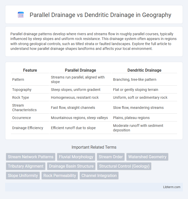 Dendritic Drainage vs Parallel Drainage in Geography - What is The Difference?
