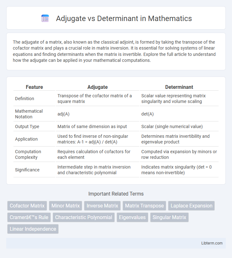 Determinant vs Adjugate in Mathematics - What is The Difference?