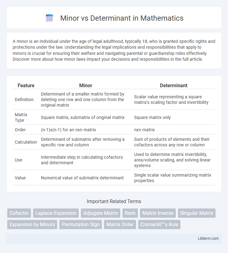Determinant vs Minor in Mathematics - What is The Difference?