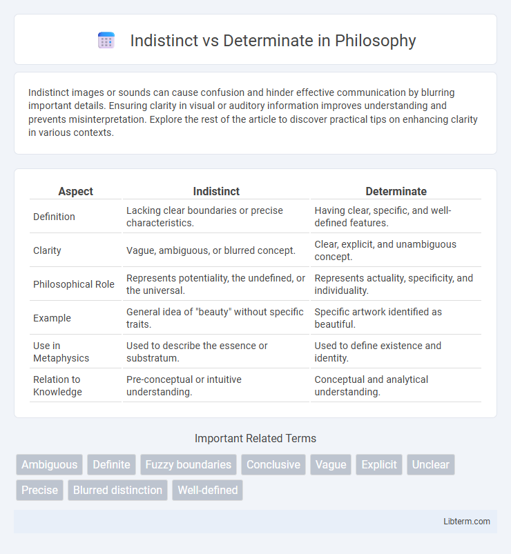 Determinate vs Indistinct in Philosophy - What is The Difference?