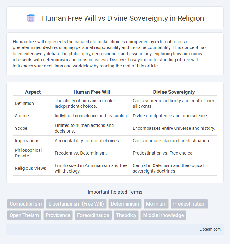 Divine Sovereignty vs Human Free Will in Religion - What is The Difference?