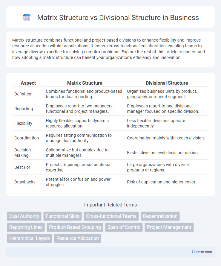 Divisional Structure vs Matrix Structure in Business - What is The Difference?