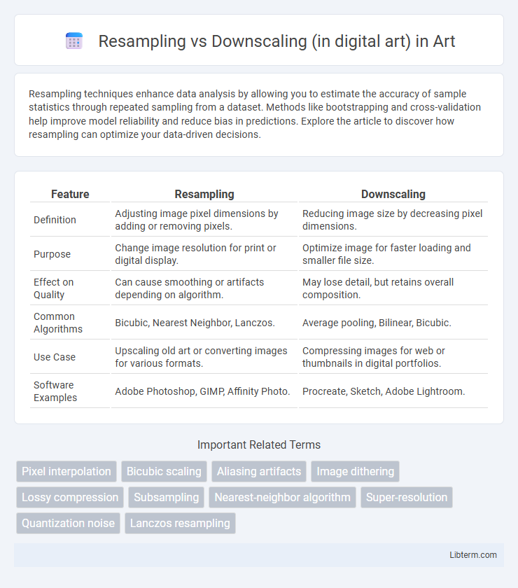 Downscaling (in digital art) vs Resampling in Art - What is The Difference?