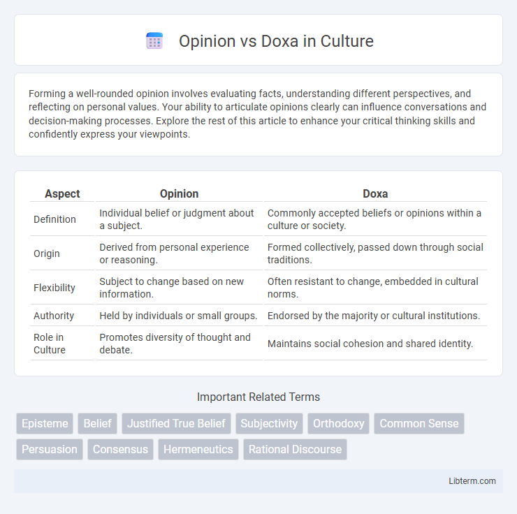 Doxa vs Opinion in Culture - What is The Difference?