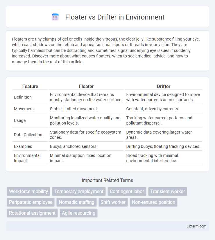 Drifter vs Floater in Environment - What is The Difference?