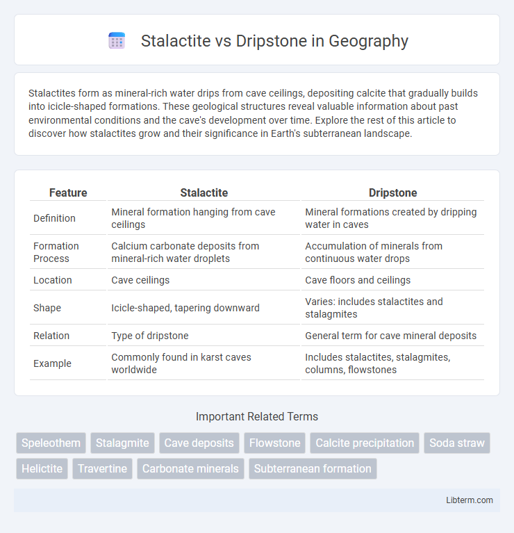 Dripstone vs Stalactite in Geography - What is The Difference?