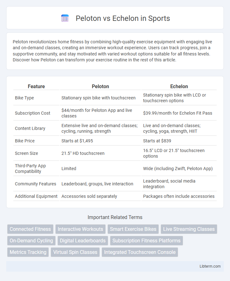 Echelon vs Peloton in Sports - What is The Difference?