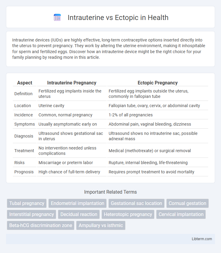 Ectopic vs Intrauterine in Health - What is The Difference?