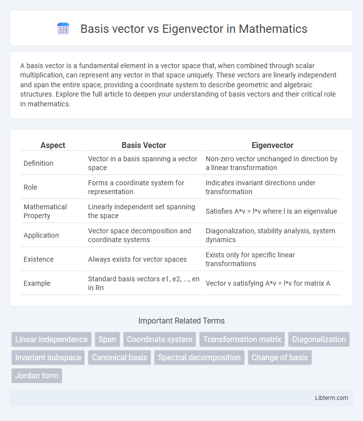 Eigenvector vs Basis vector in Mathematics - What is The Difference?
